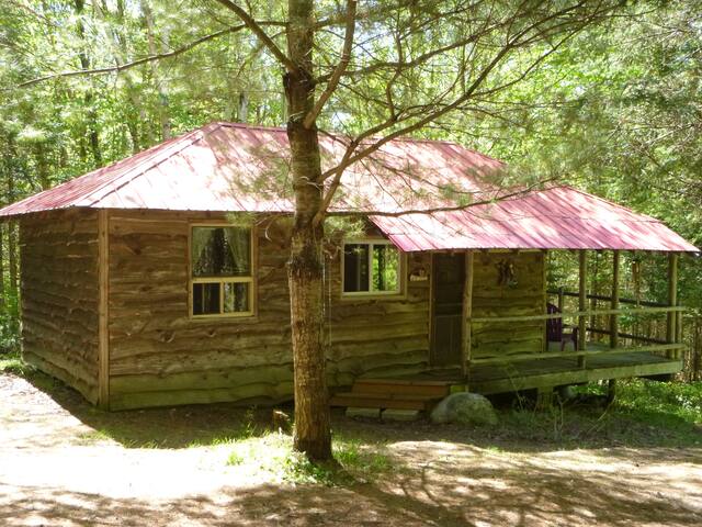 The Rustic Cabin Off The Grid Cabins For Rent In Emsdale