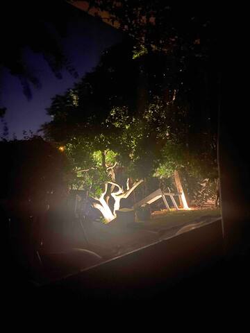 Tamboerskloof house gallery image 4