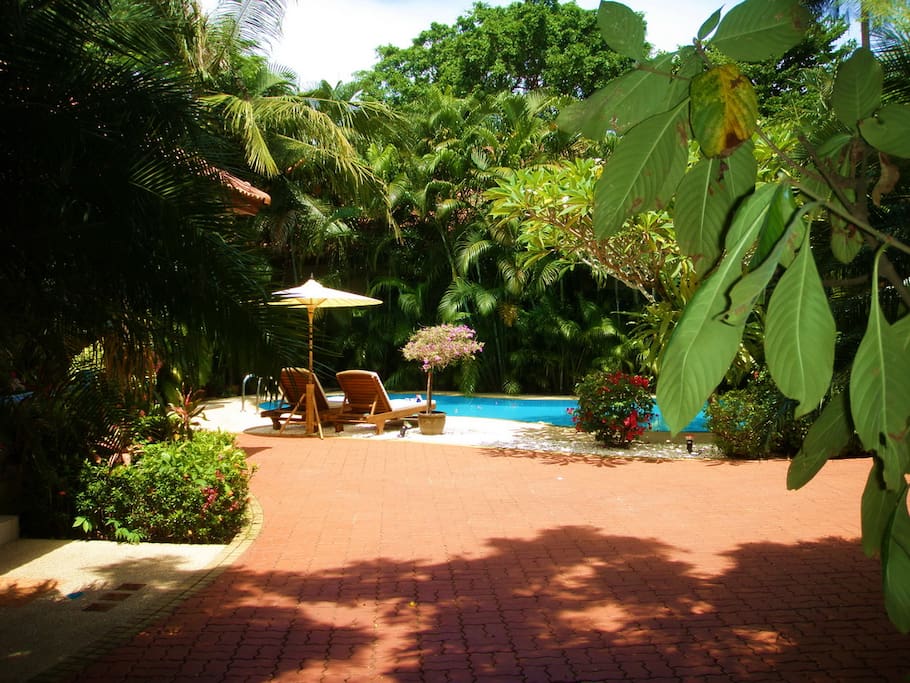The Beautiful Pool set in Tropical Gardens