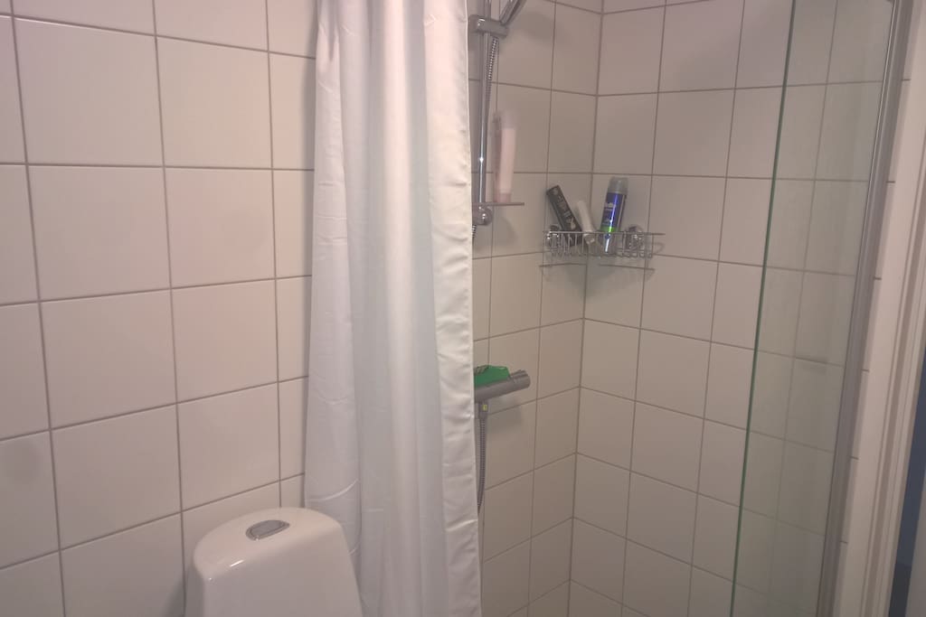 Big fresh bathroom