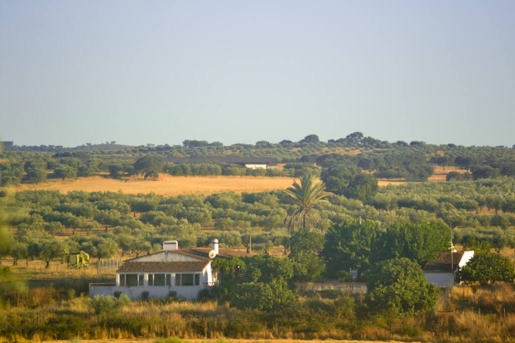 The beautiful landscapes surrounding Monte da Chaminé