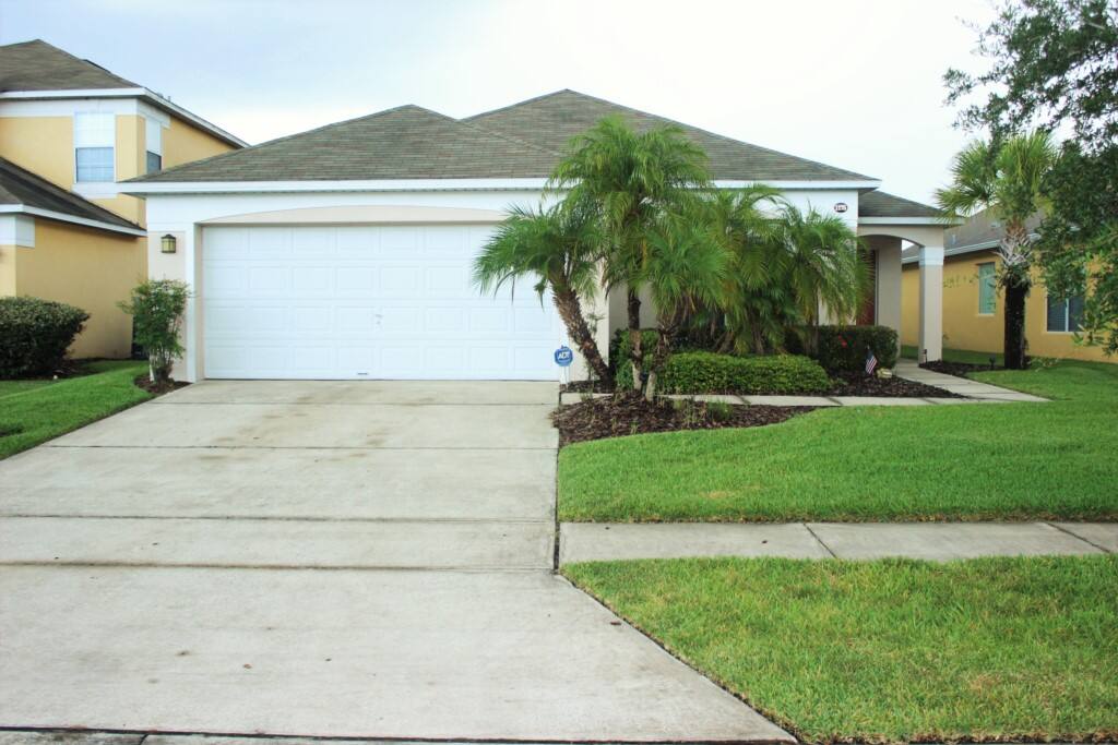 Yard, Fir, Tree, Building, Palm Tree