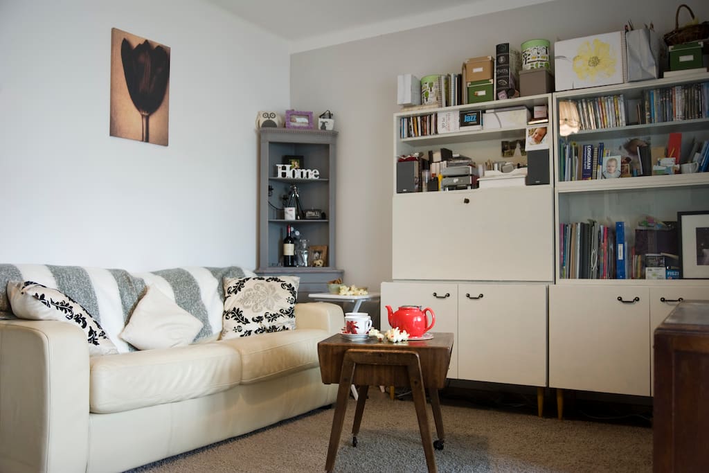 comfy leather sofa-bed