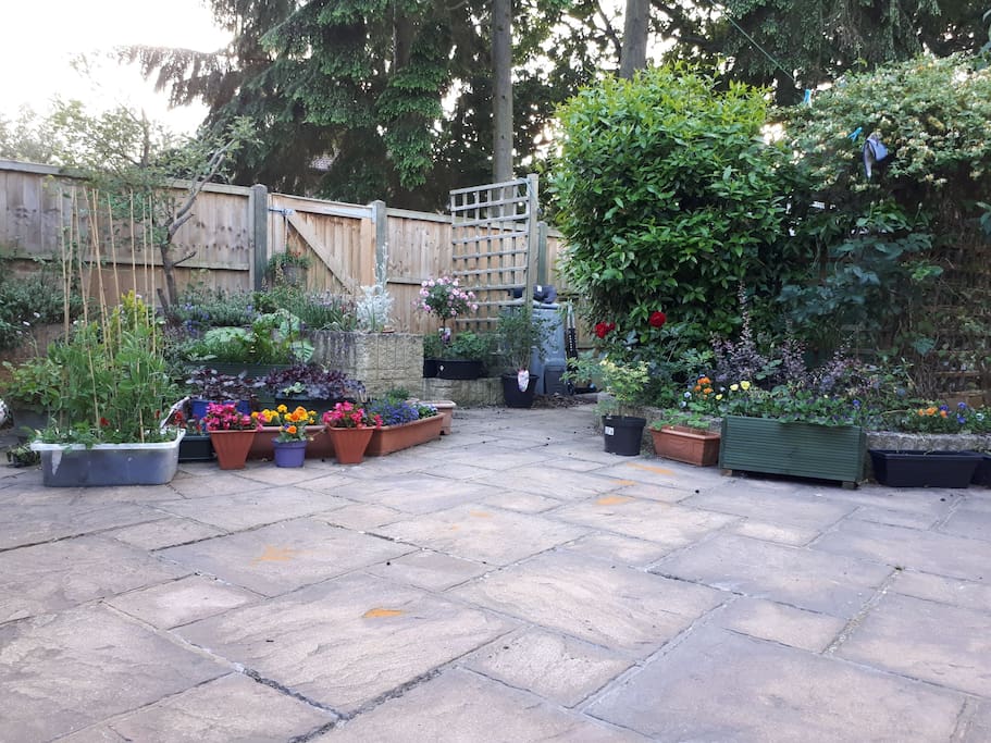 Paved back garden..