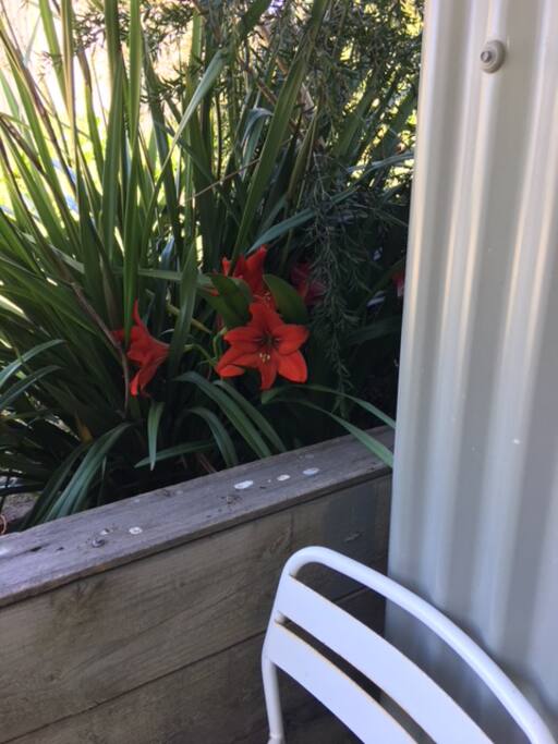 Front porch