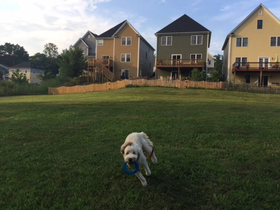 Back part of the apartment and bordering field