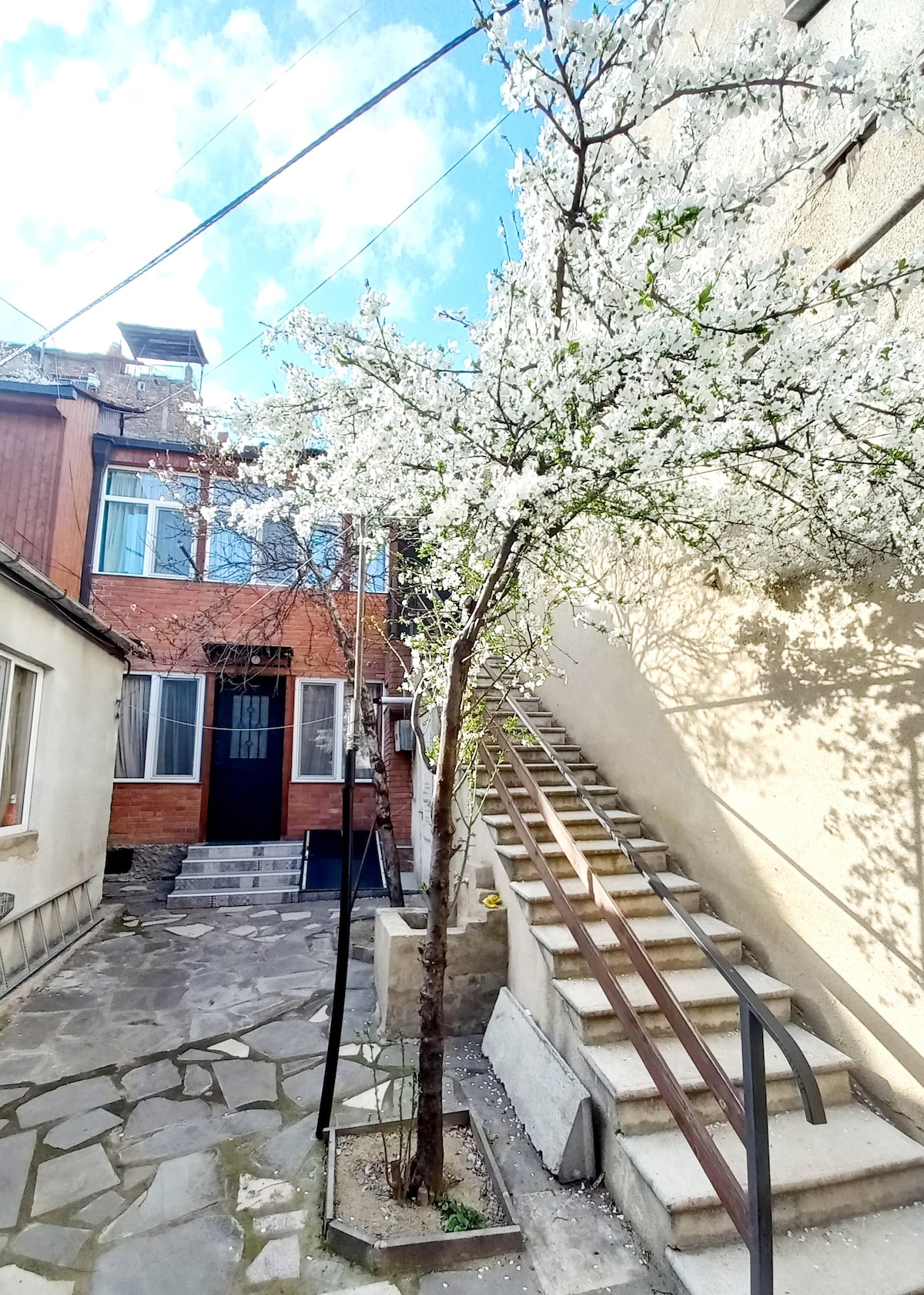 A charming pathway is bordered by a white-flowering tree, leading towards a set of stone steps. The building facades on either side display a mix of materials, with large windows allowing natural light to illuminate the area. A calm atmosphere is created by the soft colors and greenery.