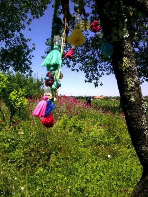 Des fleurs ...........Par centaines de variétés.