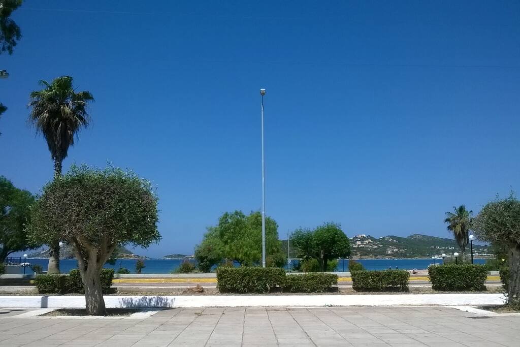 Palea Fokea