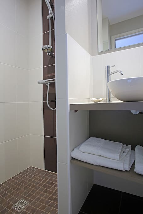 salle de bain avec douche wc