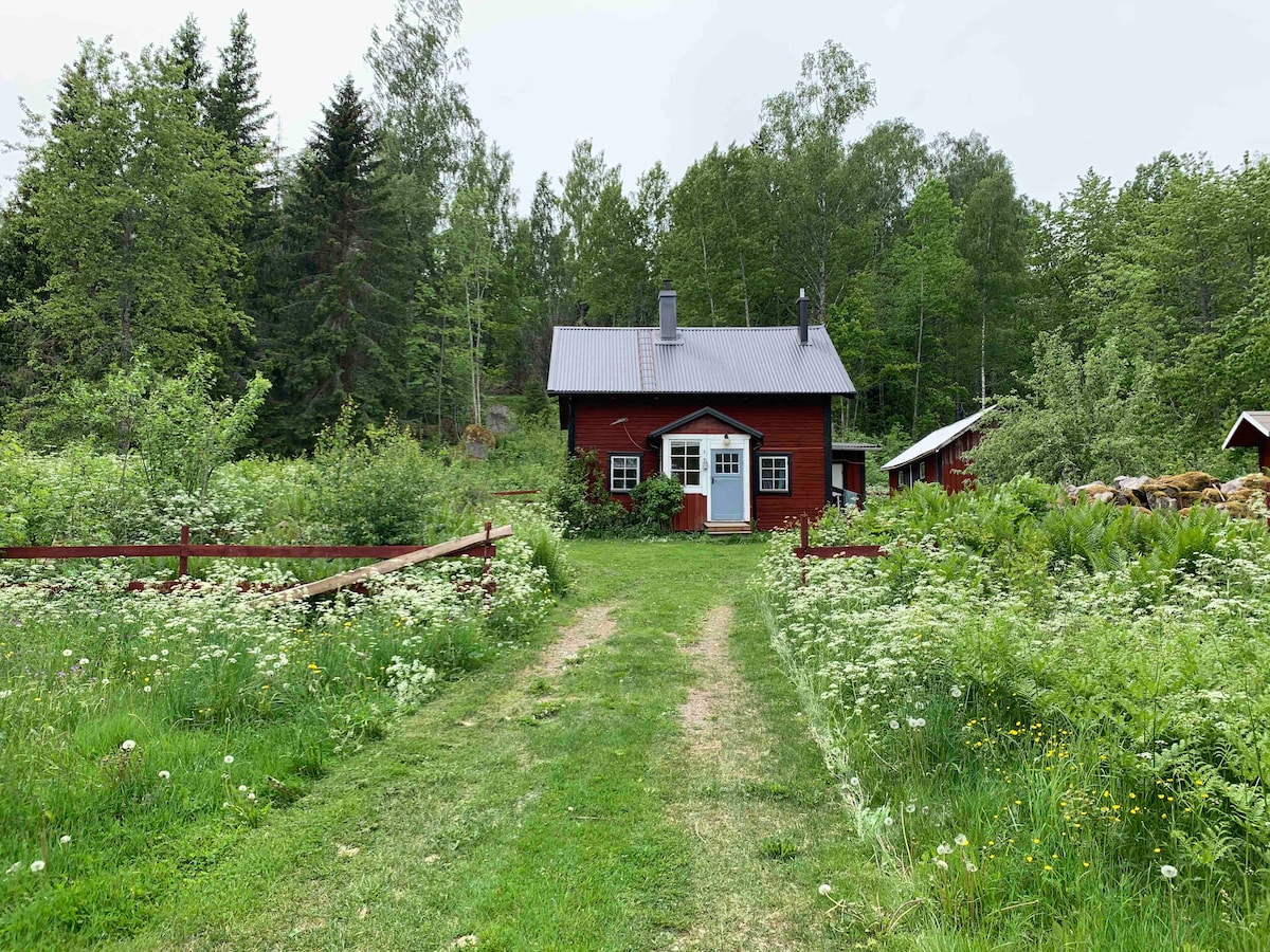 A charming red cottage is set amidst lush greenery, surrounded by tall trees and wildflowers. A gravel path leads up to the entrance, which is framed by two windows and a welcoming front door. A smaller building is visible to the right.