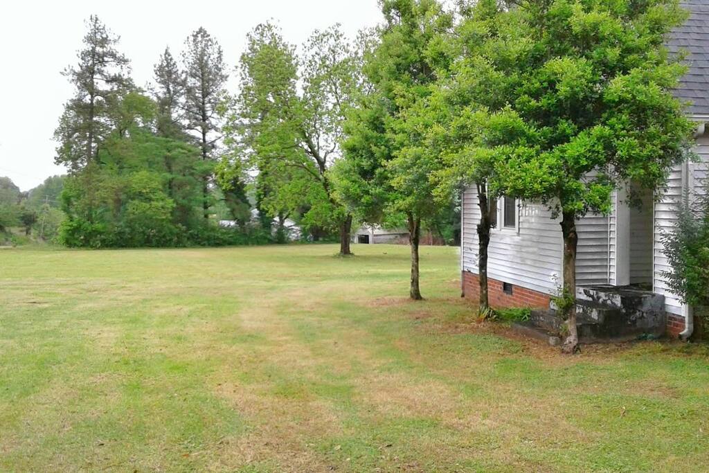 Looking North to my Orchard