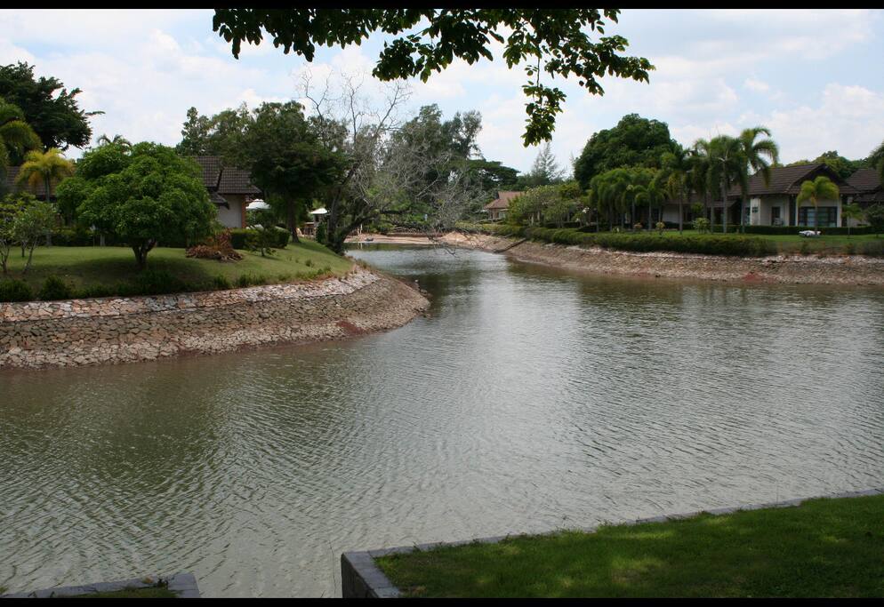 View from the back garden