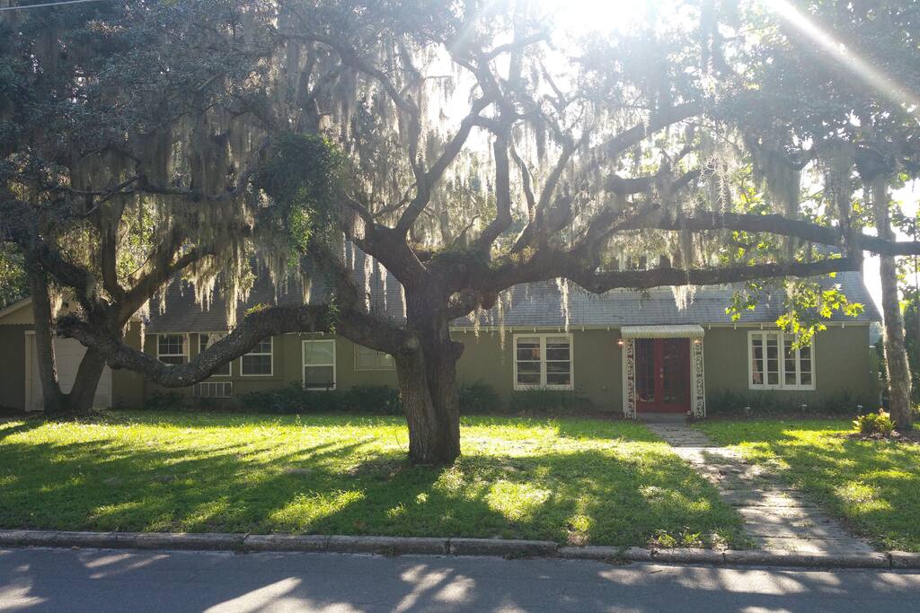 The house