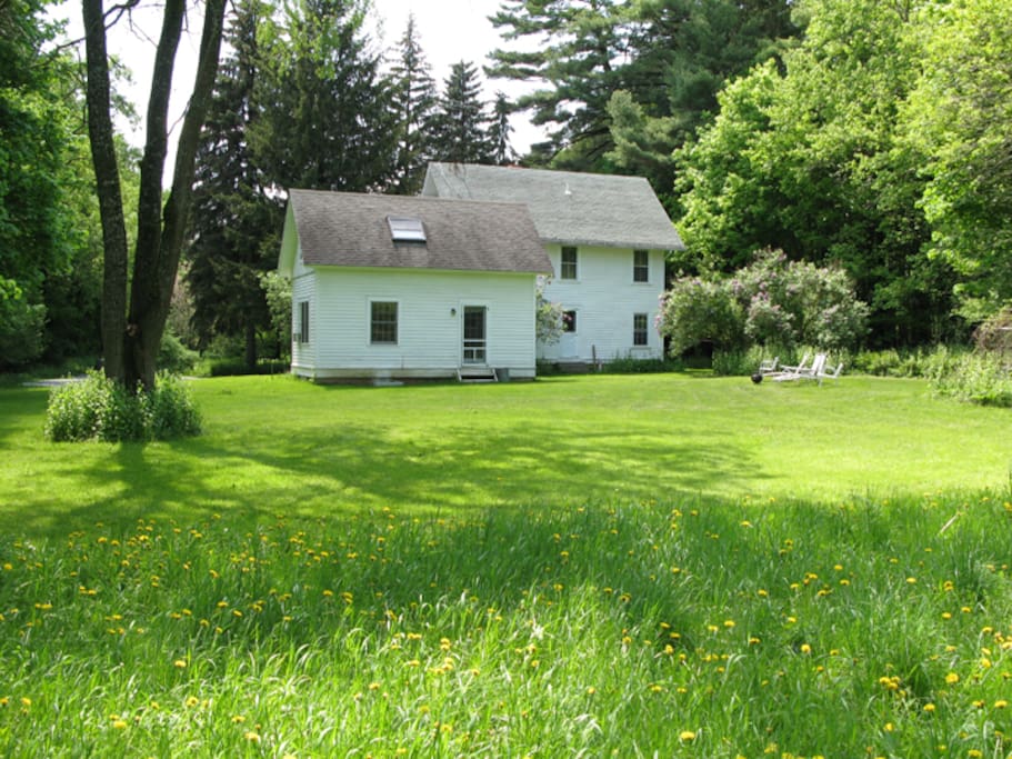 Back lawn
