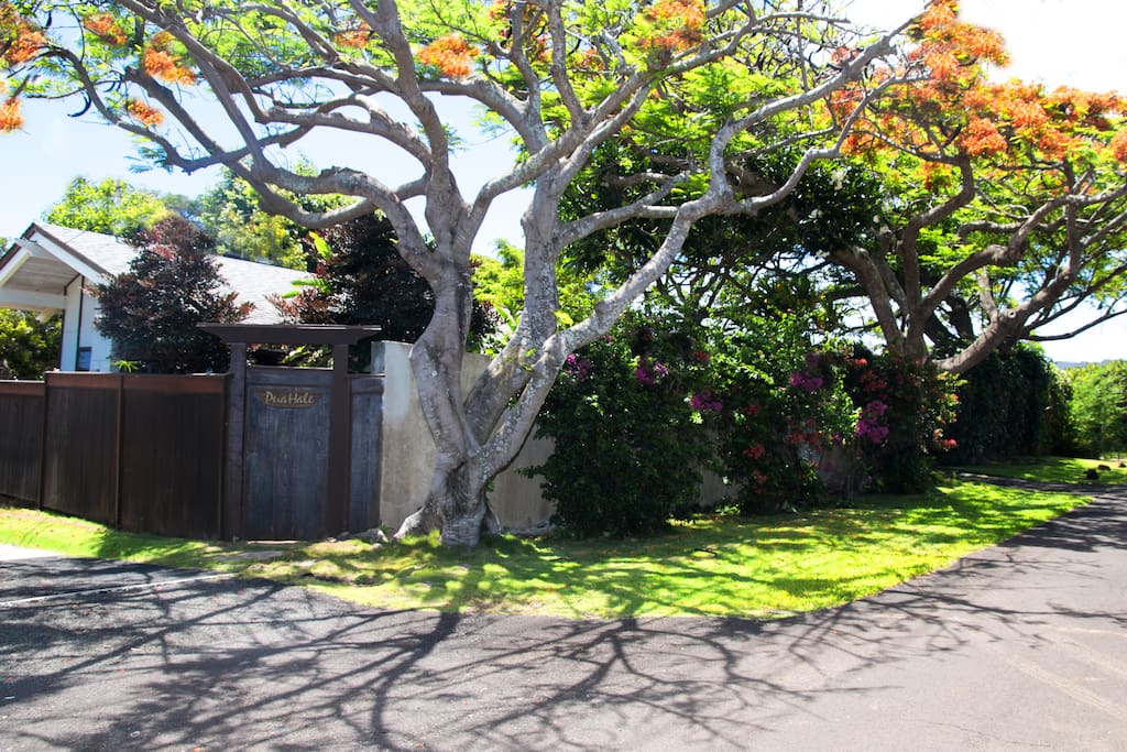 Front of Pua Hale from Kipuka Street