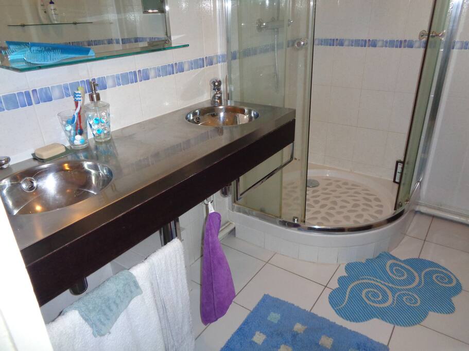 salle d'eau à partager