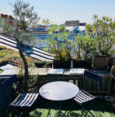 Duplex apartment with small rooftop garden