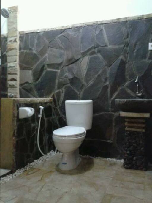 Western toilet