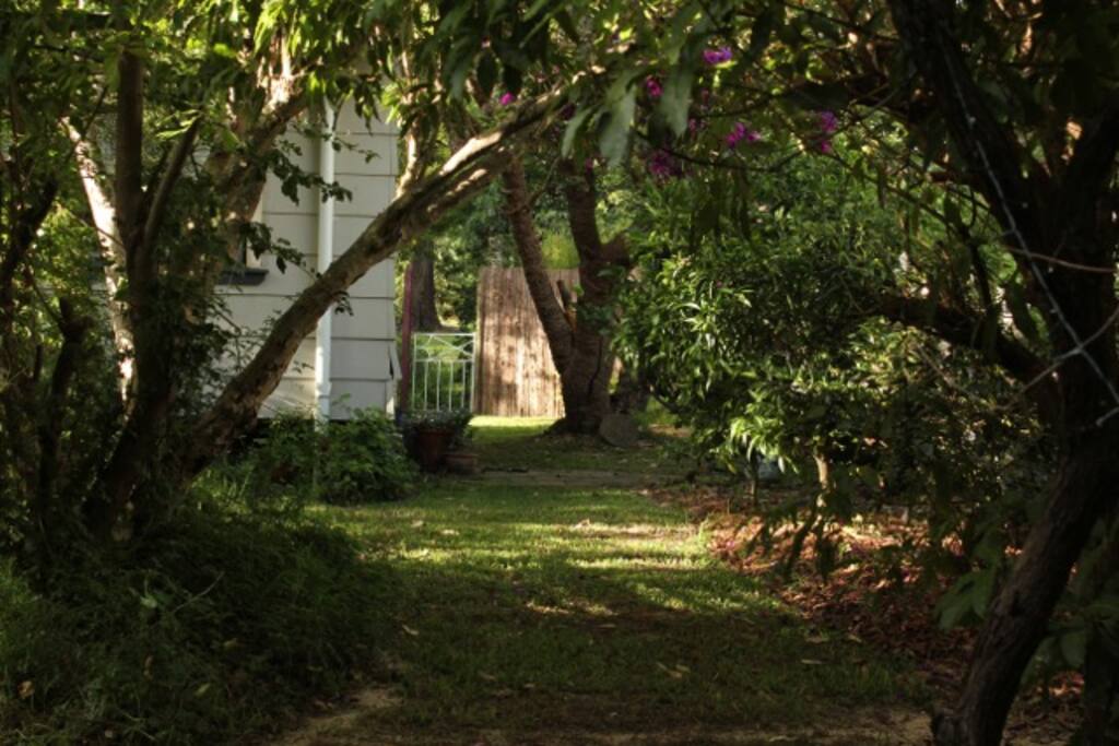 Shady Garden