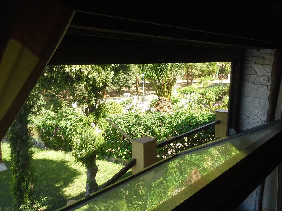 finestra con vista sul giardino