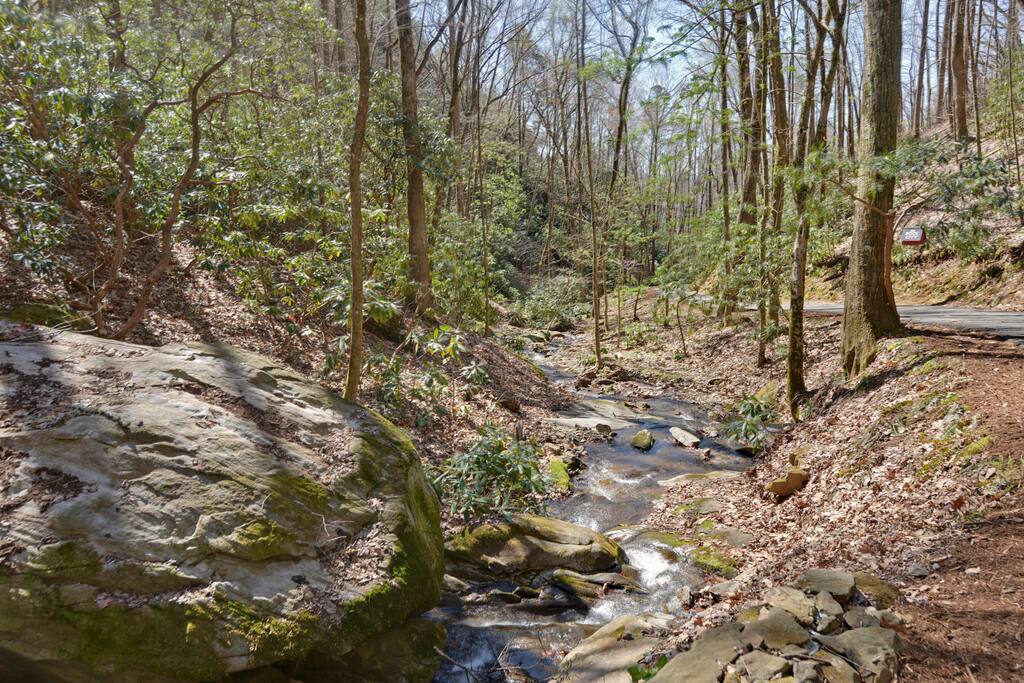 Beautiful creek follows the drive