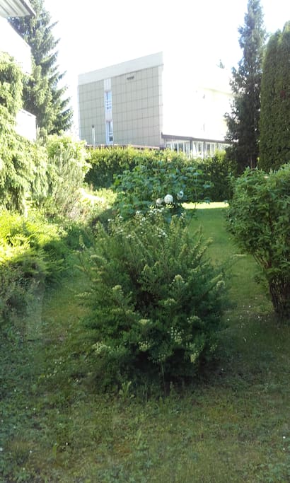 Giardino