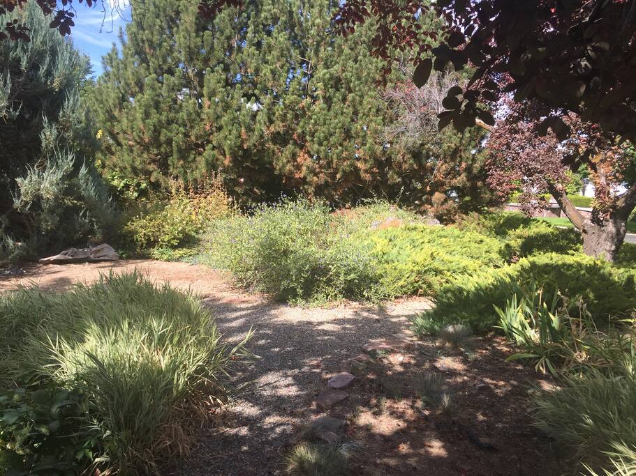 Pond area