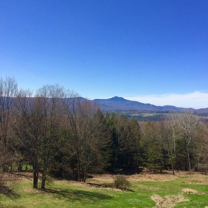 The view from the window