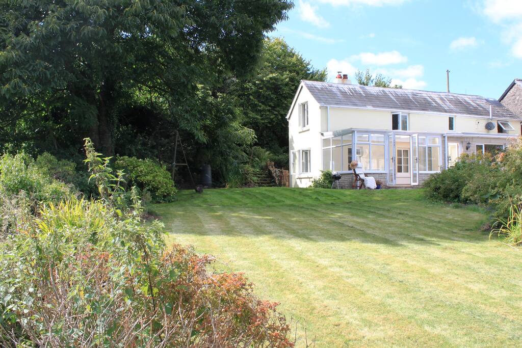 View from the garden