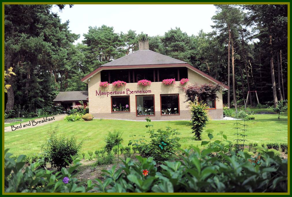 Onze bed and breakfast gelegen aan de rand van het bos, maar toch maar 800 meter van het centrum verwijderd