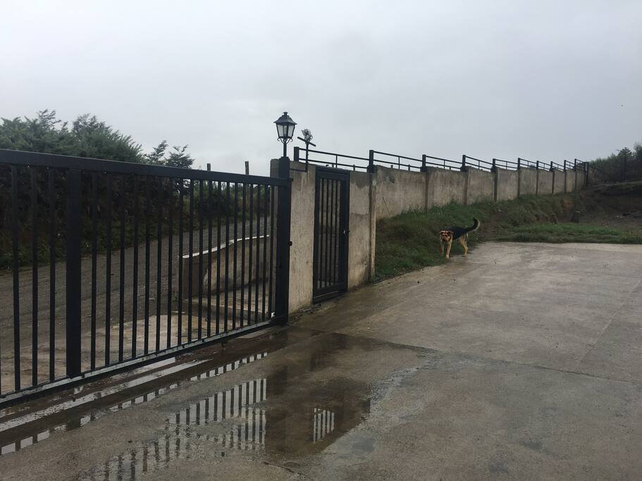 Entrada al recinto con control remoto y portón de acceso, los perros tienen su Canil y no molestan en nada.