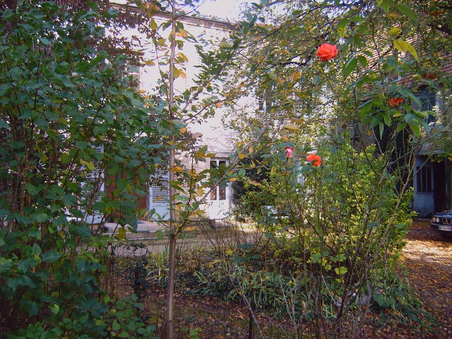 vue depuis le jardin