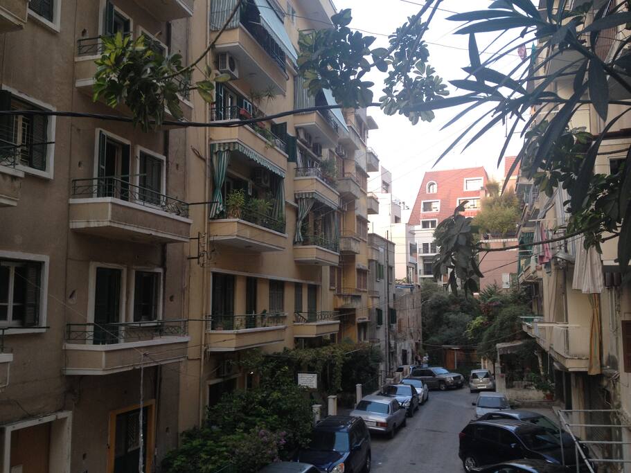 Beautiful Neighborhood. Soon pictures for the apartments which has been fully renovated.