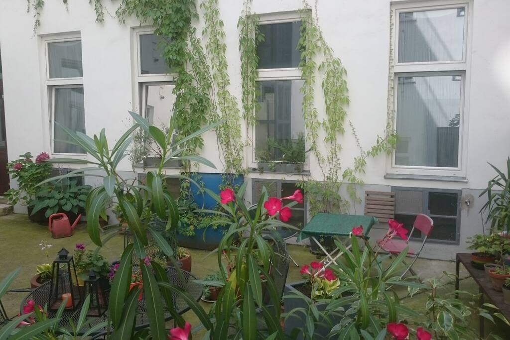 apartment windows