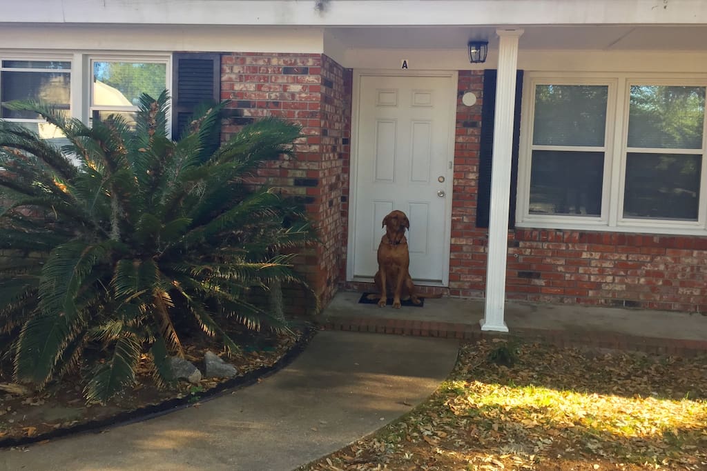 Casa de Cooper