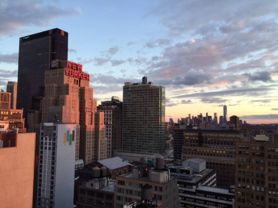 View from the roof