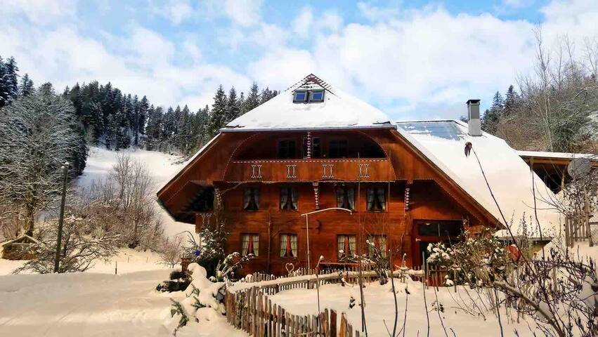 spacious studio apartment on the farm