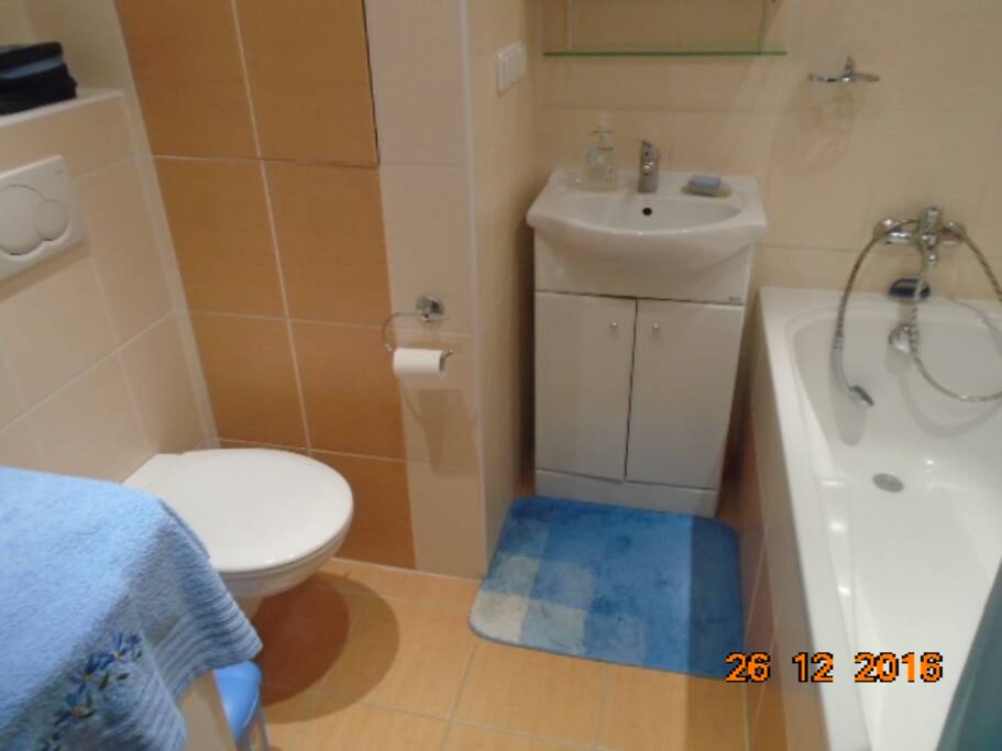 spacious, reconstructed bathroom