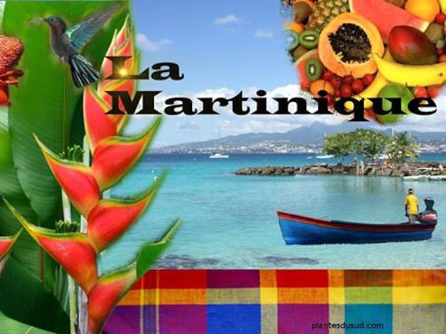 Couleurs et spécialités de la Martinique