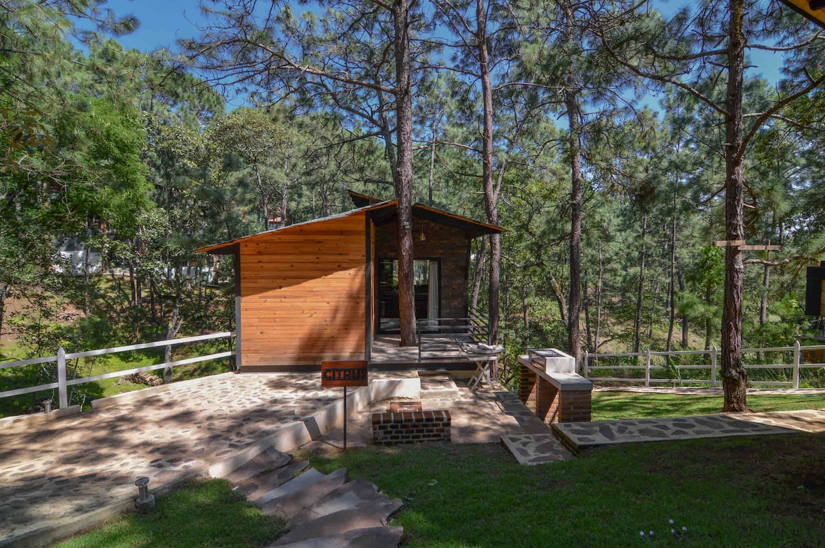 A quaint wooden cabin is surrounded by tall trees, showcasing a serene and natural setting. A stone pathway leads to the entrance, while a patio area offers a peaceful space to relax. The exterior features warm wooden tones that complement the lush greenery.