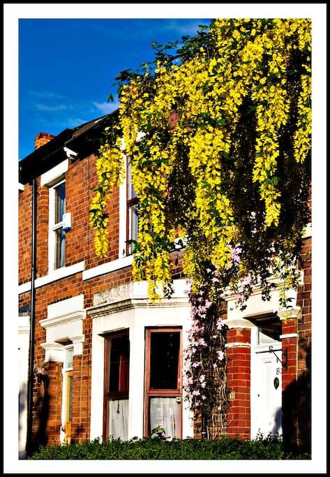 Beauty Room To Rent Newcastle Beauty Room To Rent Newcastle