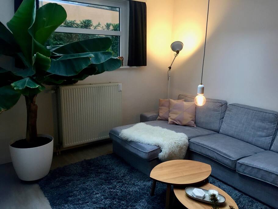 Livingroom couch