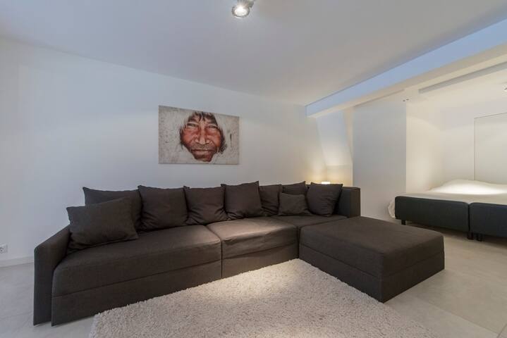 Luxury guesthouse with sauna and garden -Mstrcht