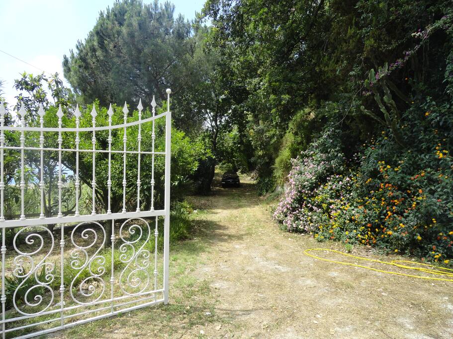 cancello di entrata