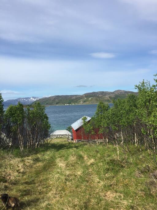 Kort vei til havet.