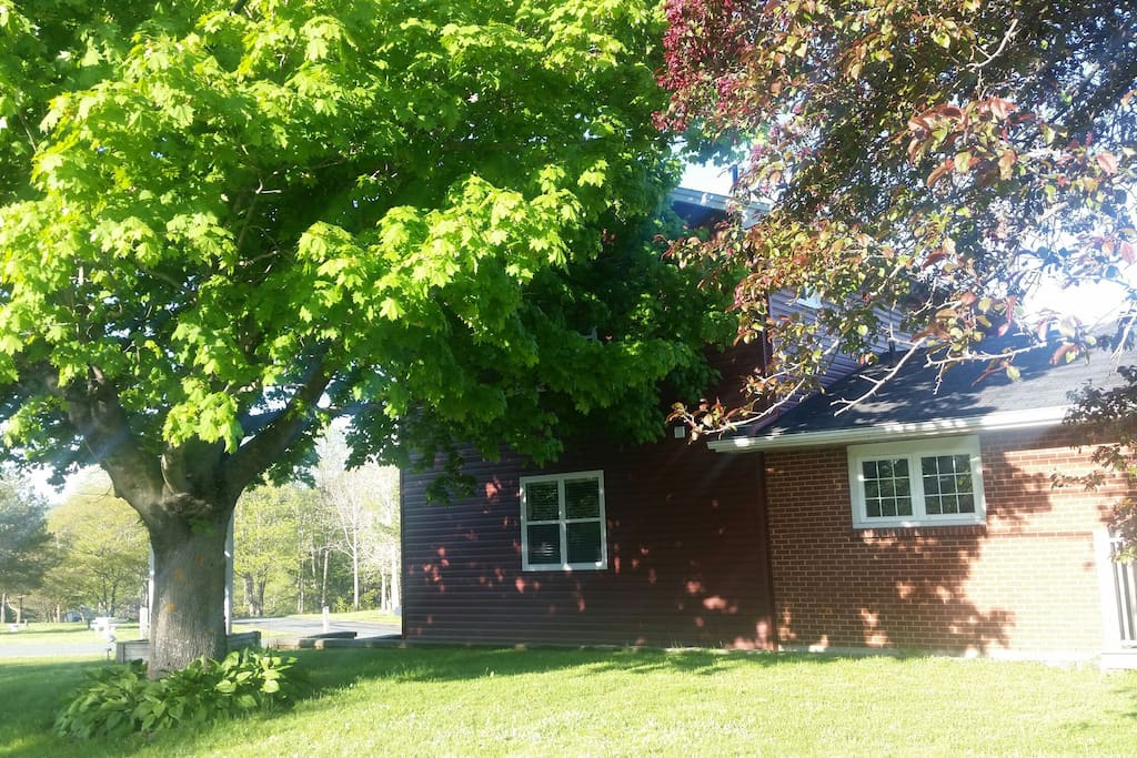 Country style living close to the city