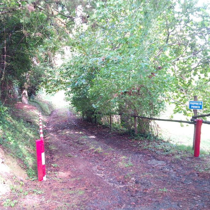 La strada privata che porta al podere