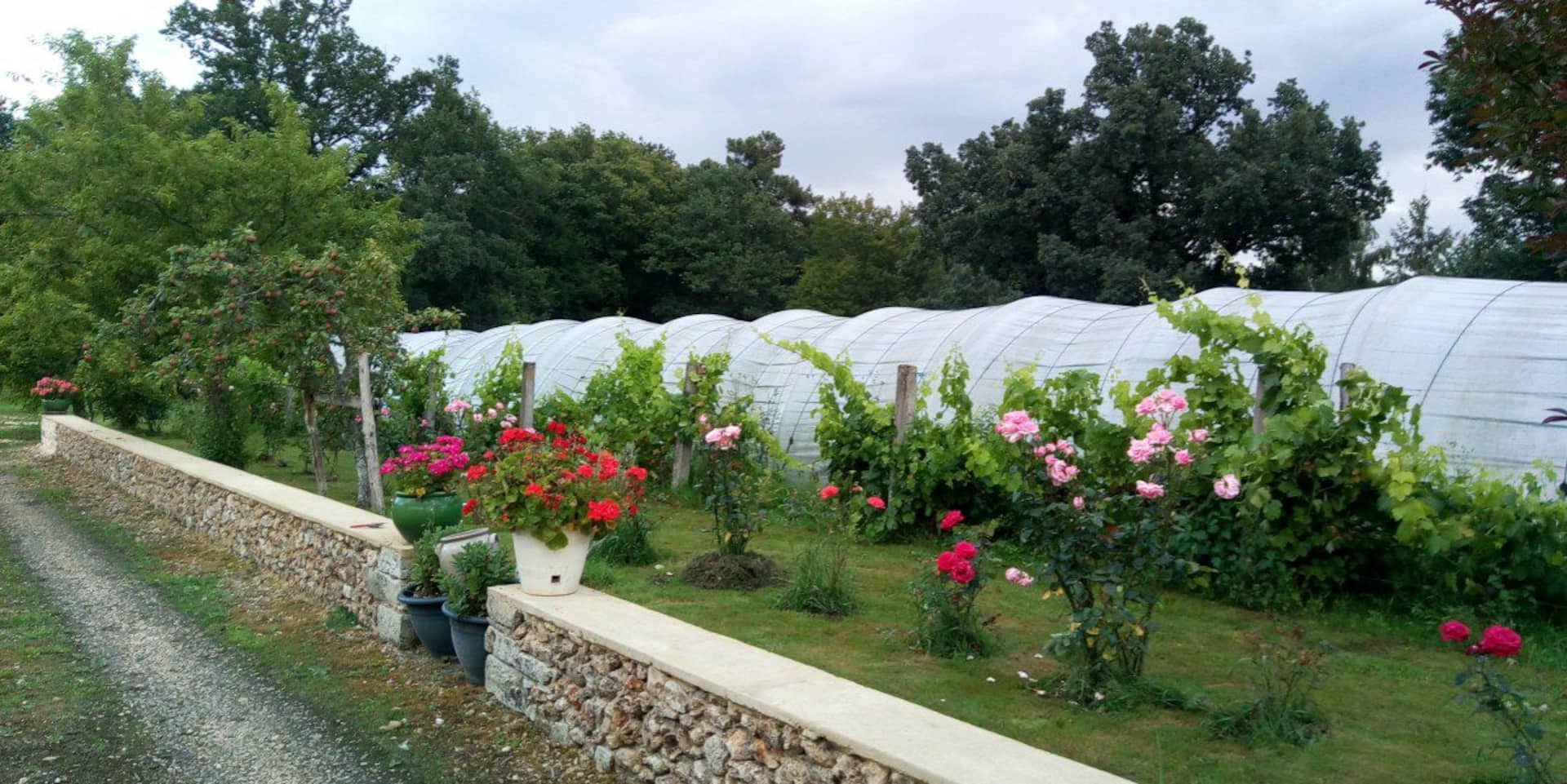 Chez Lucia a 15min de Perigueux à 6km autoroute A89 Logement Climatisé