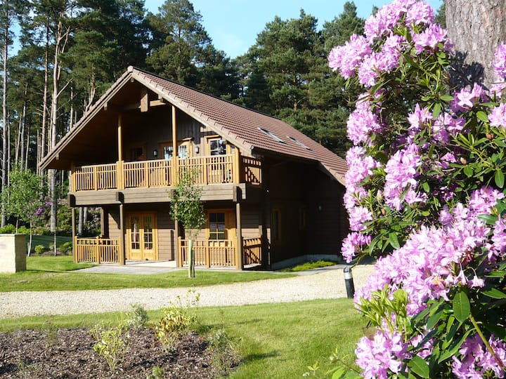 The Dorset Resort Chalets for Rent in Wareham, Dorset, United Kingdom